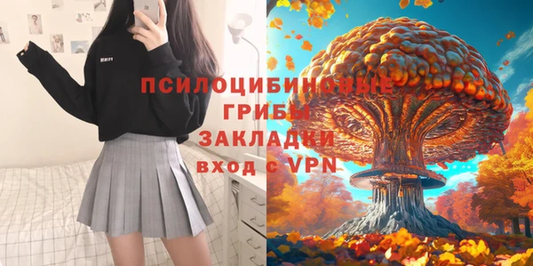 не бодяженный Михайлов