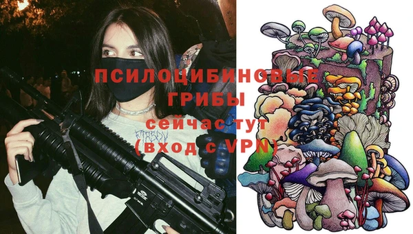 экстази Богданович