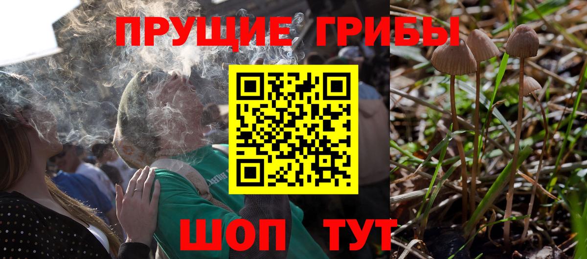 Галлюциногенные грибы прущие грибы Пятигорск